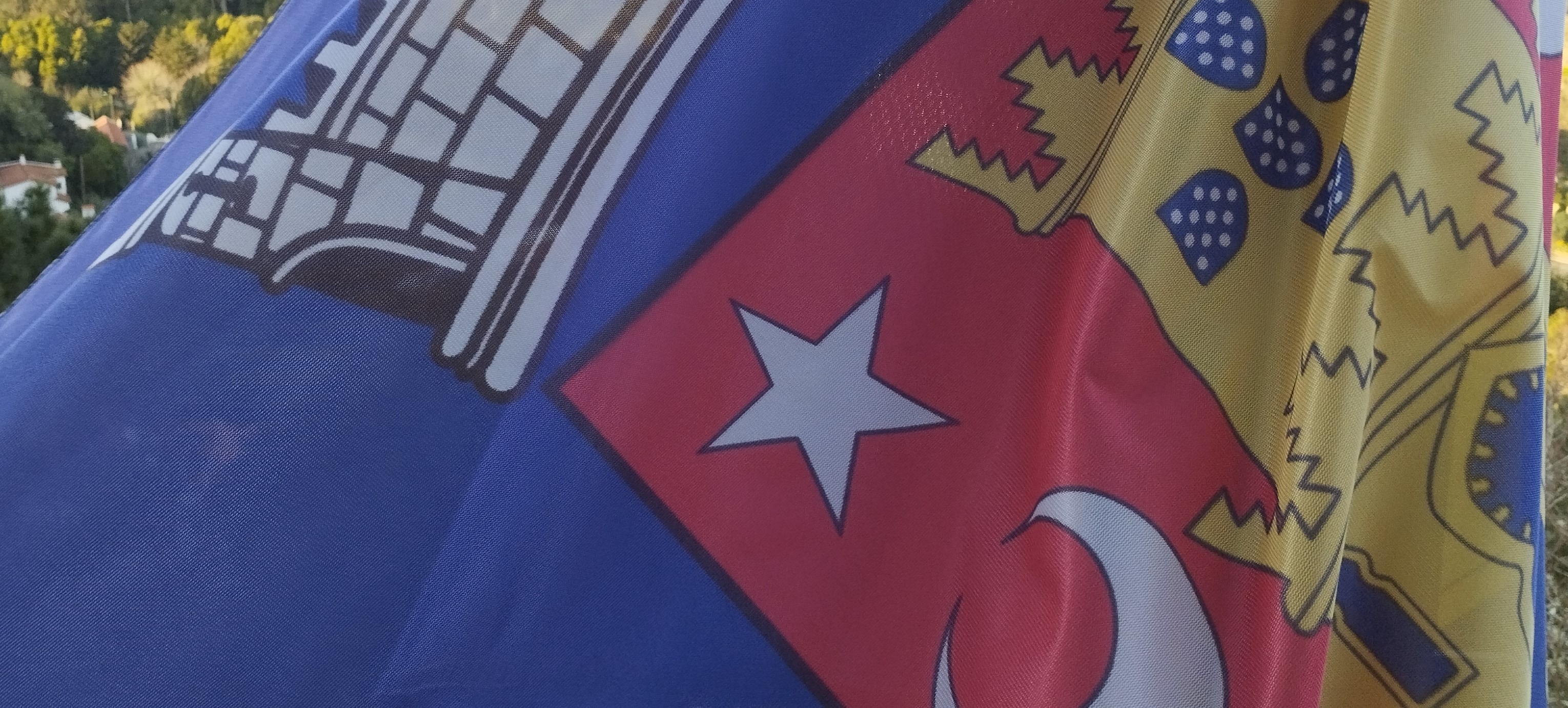 Sessão Ordinária da Assembleia Municipal - 23 de dezembro de 2025 