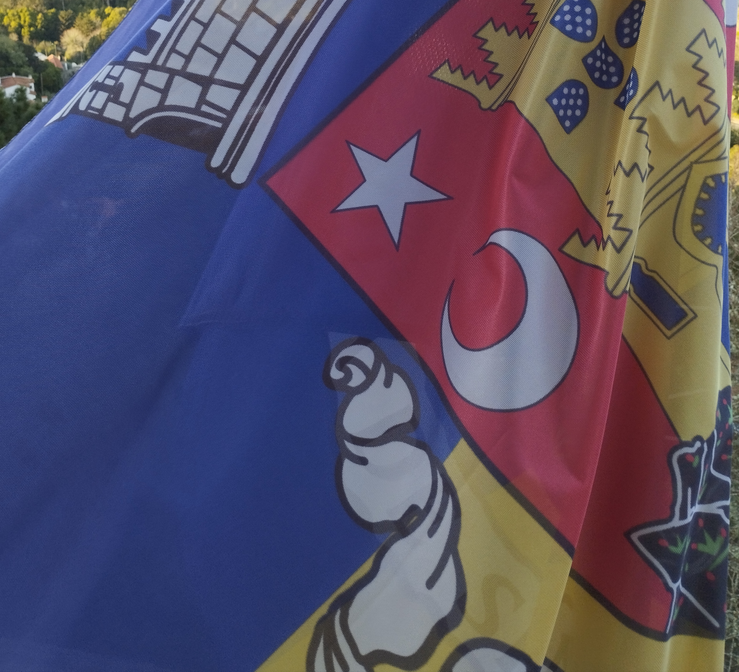 Sessão extraordinária da AMS - 10 de março de 2026